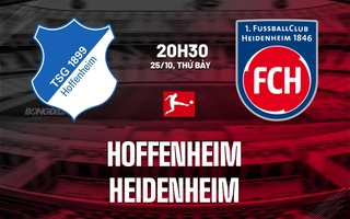 nhan-dinh-bong-da-du-doan-hoffenheim-vs-heidenheim-vdqg-duc-bundesliga-hom-nay-2210082115-1.jpg